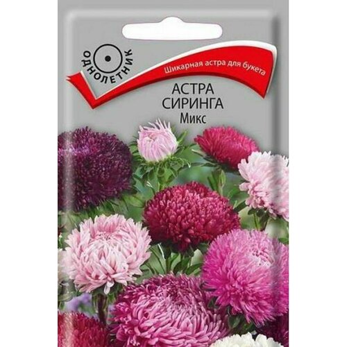 Семена растения астра сиринга, микс