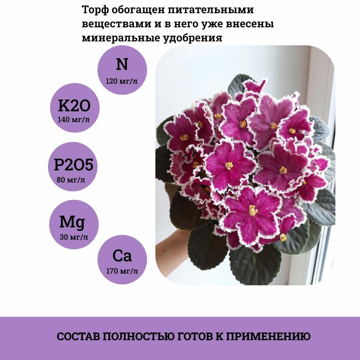 Изображение Грунт для фиалок, сенполий, Дом фиалок, 5 л