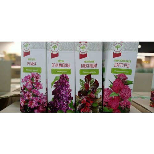 Набор для самостоятельной посадки 