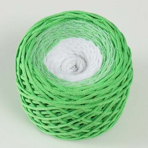 Хлопковый шнур 3 мм 220м240 5 гр Градиент Лето лаймбелый 1156₽