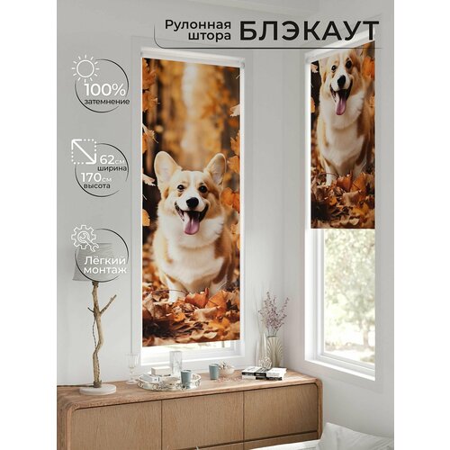 Рулонные шторы AT HOME Рултис Ширина 62 см Высота 170 см.