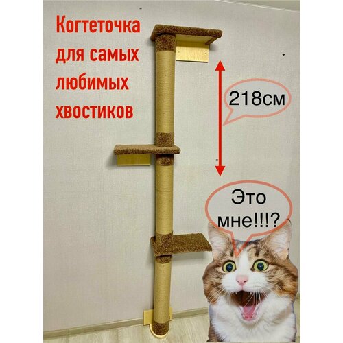 Когтеточка 