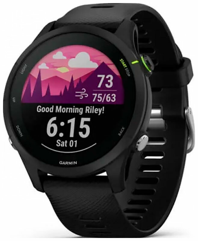 Часы Garmin Forerunner 255 Music, с черным ремешком (010-02641-30)