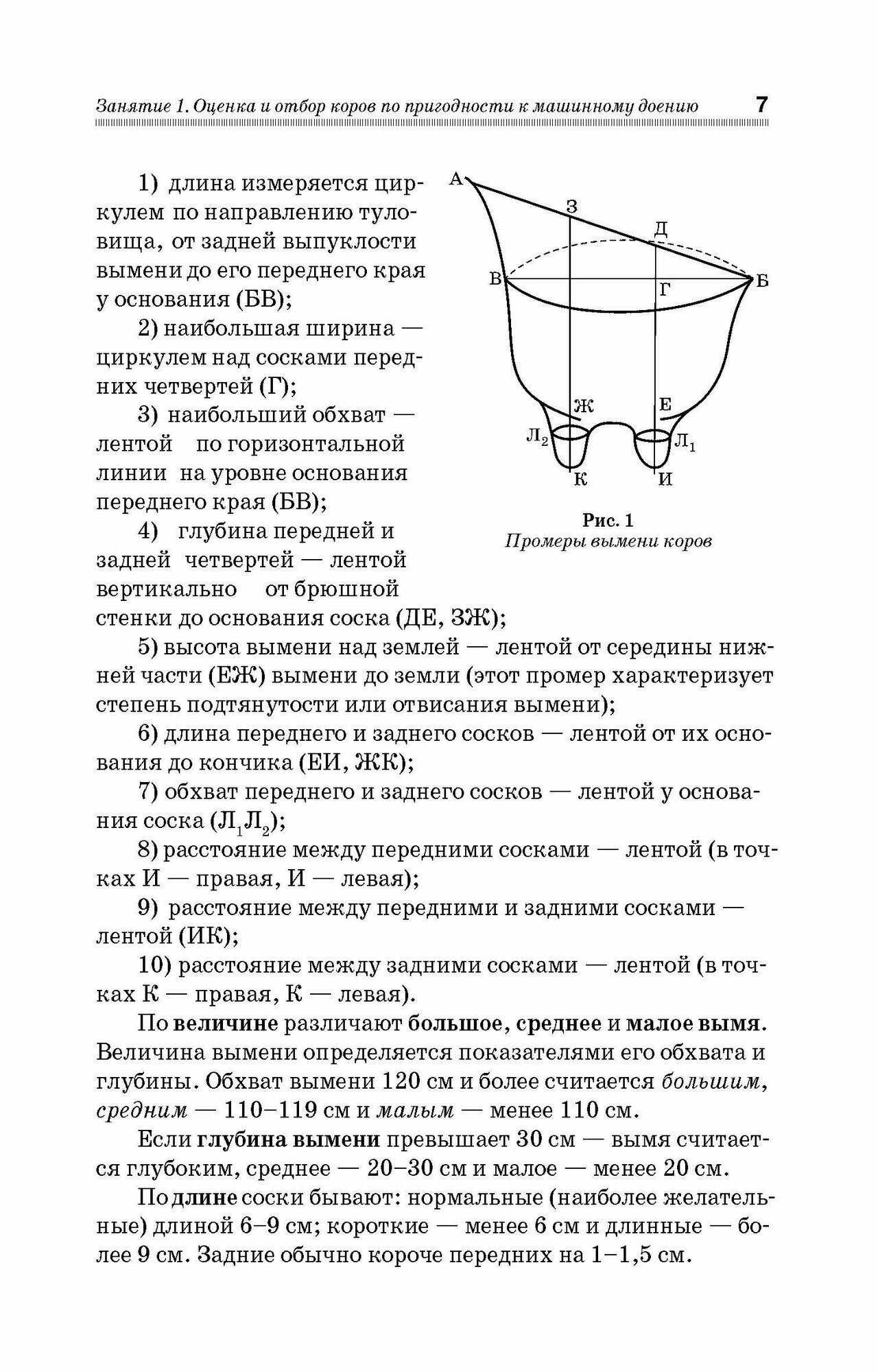 Практикум по производству продукции животноводства. Учебное пособие - фото №4