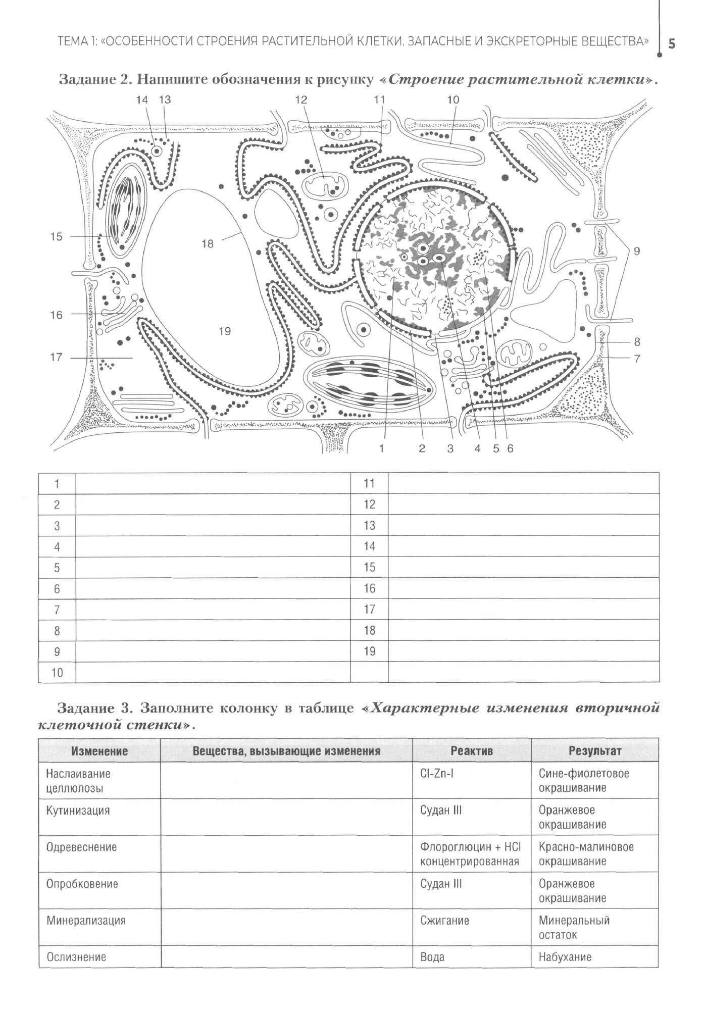 Ботаника. Рабочая тетрадь (Зайчикова Светлана Геннадьевна) - фото №3