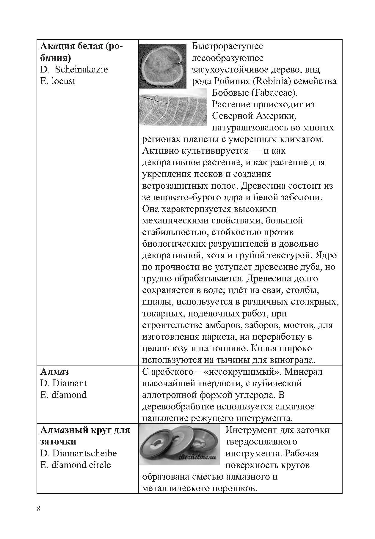 Лесотехнический толковый словарь. СПО - фото №2