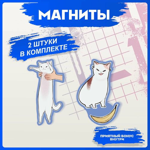 Магниты для доски Котики 280₽