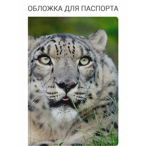 Обложка для паспорта SLVGO, желтый, зеленый, черный, белый
