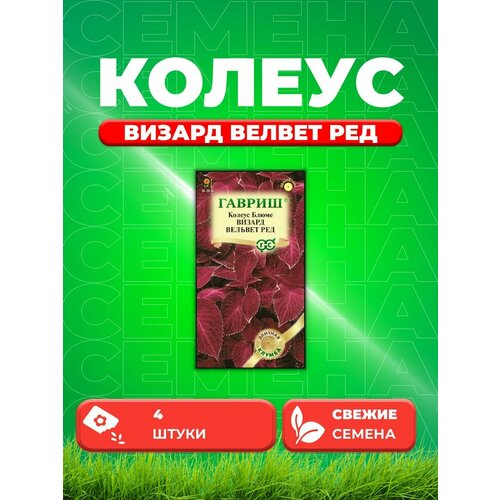 Колеус Визард Вельвет Ред, 4шт, Гавриш, семена колеус визард вельвет ред 4 сем 2 подарка