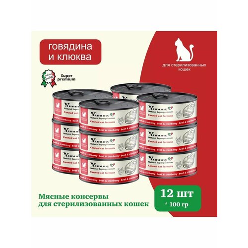 Влажный корм Yummy Linea для кошек говядина 100г х 12шт