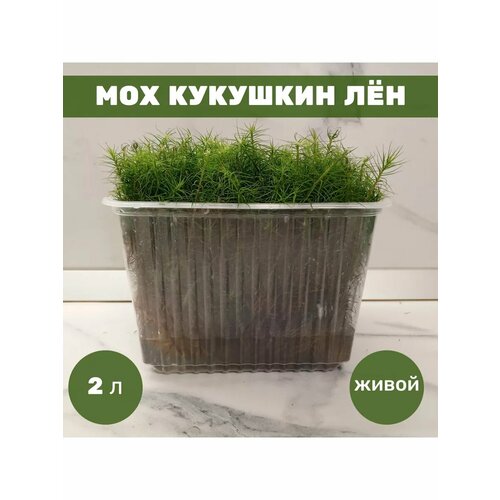 Мох кукушкин лен свежий лесной 2л