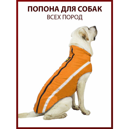 Попона для собак всех пород, размер 2XL, желтая, демисезон/зима