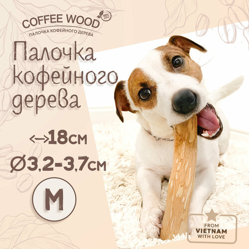 Игрушка для собак COFFEE WOOD "Палочка кофейного дерева", 18см, M (Вьетнам)