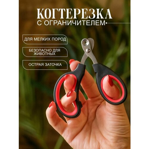 Когтерезка для кошек и собак мелких пород Markov , секатор ножницы для когтей