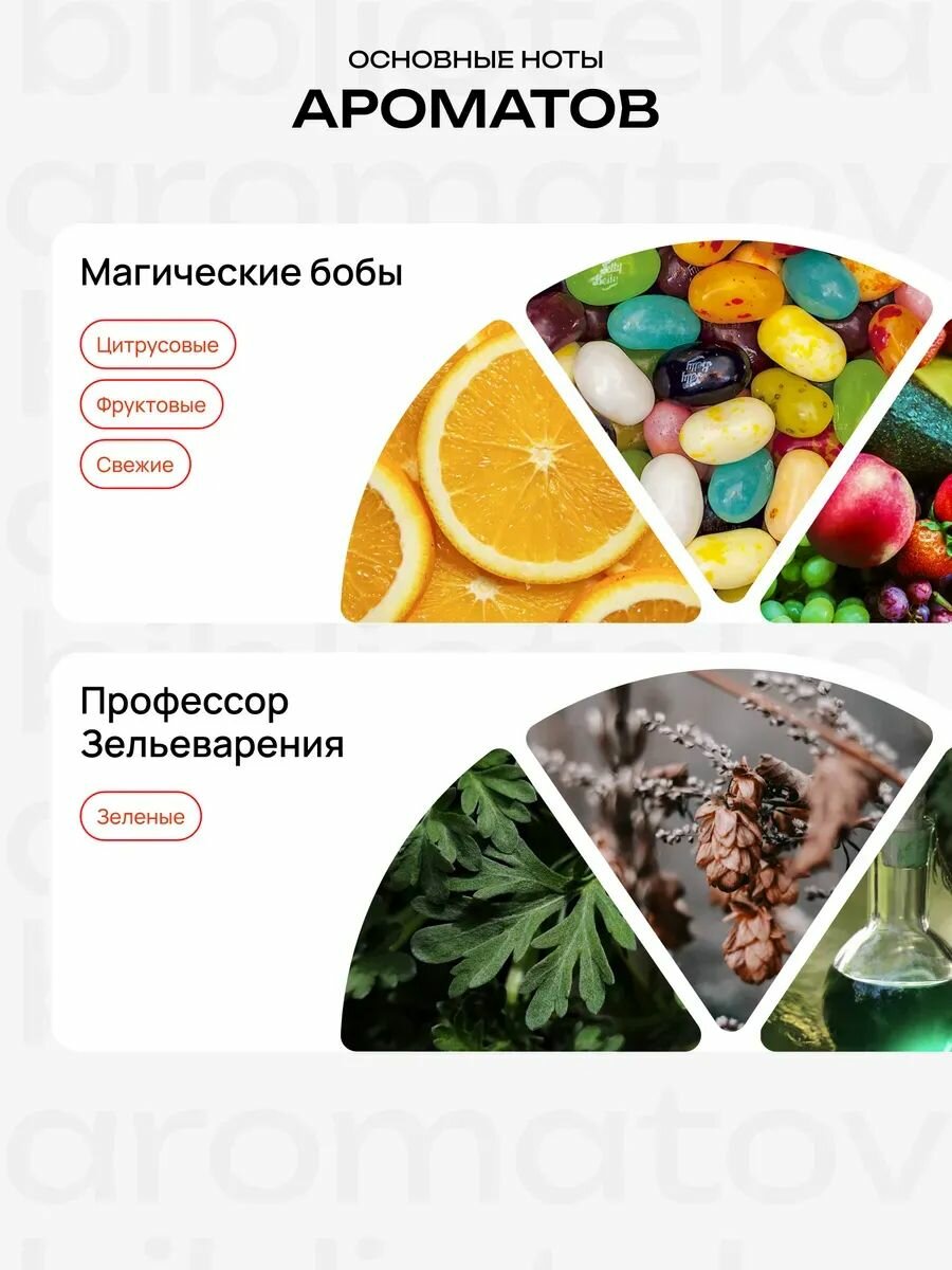 Библиотека ароматов "Особо загадочная личность" (Гарри Поттер) Парфюмерный набор 5 ароматов — фото 1