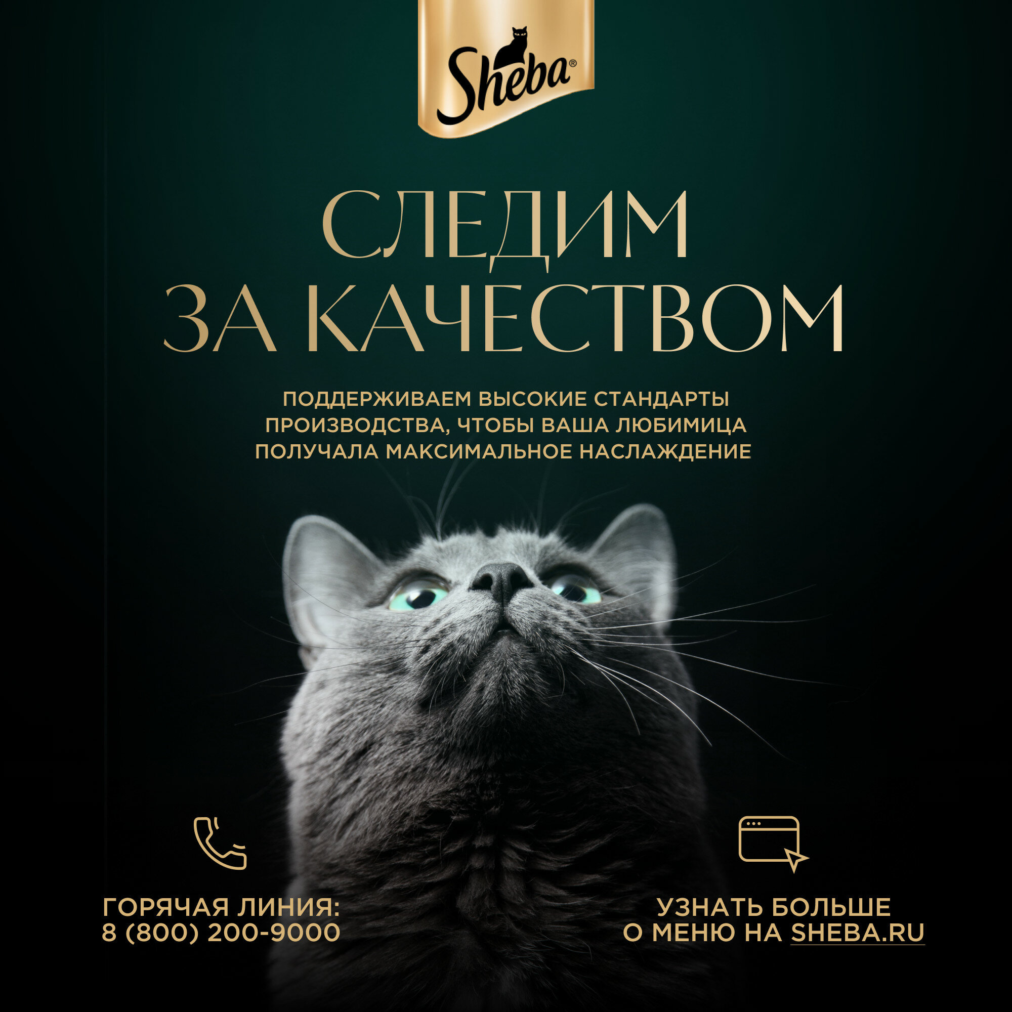 Sheba Корм влажный для кошек паштет с индейкой, 75г - фото №9