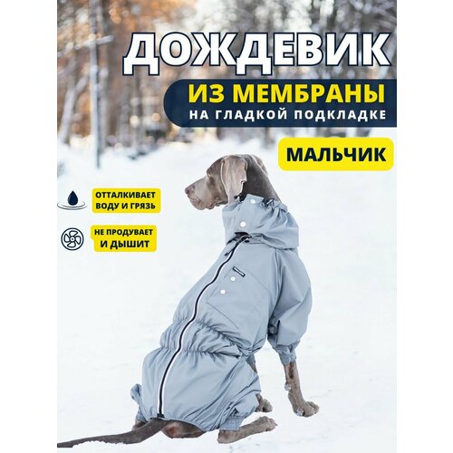 Комбинезон дождевик для собак крупных пород STORM, 70м (кобель), серый, 7XL