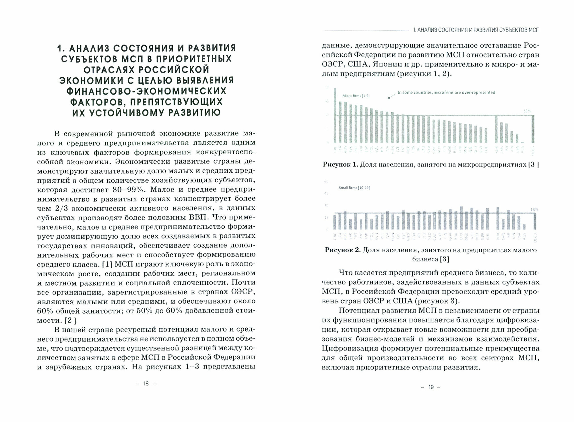 Устойчивое развитие малого и среднего бизнеса. Финансово-экономическое и правовое регулирование - фото №4