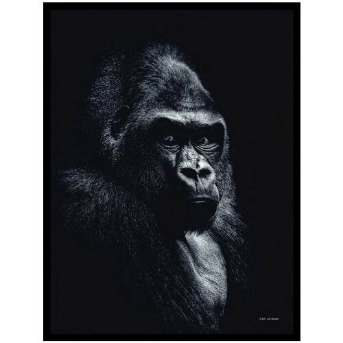 Постер в раме G&C new nordic 2297F 500х700