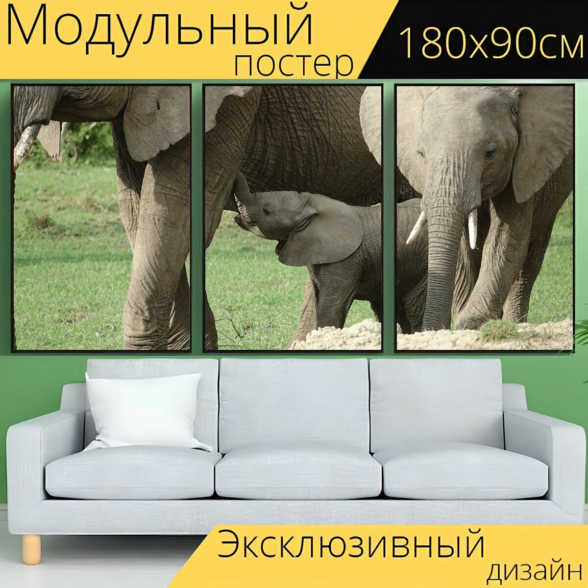 Модульный постер "Слон, дикая природа, ствол" 180 x 90 см. для интерьера
