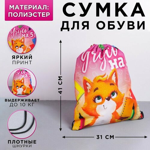 Сумка для обуви ArtFox Учусь на 5, полиэстер, 41х31 см (4142701)