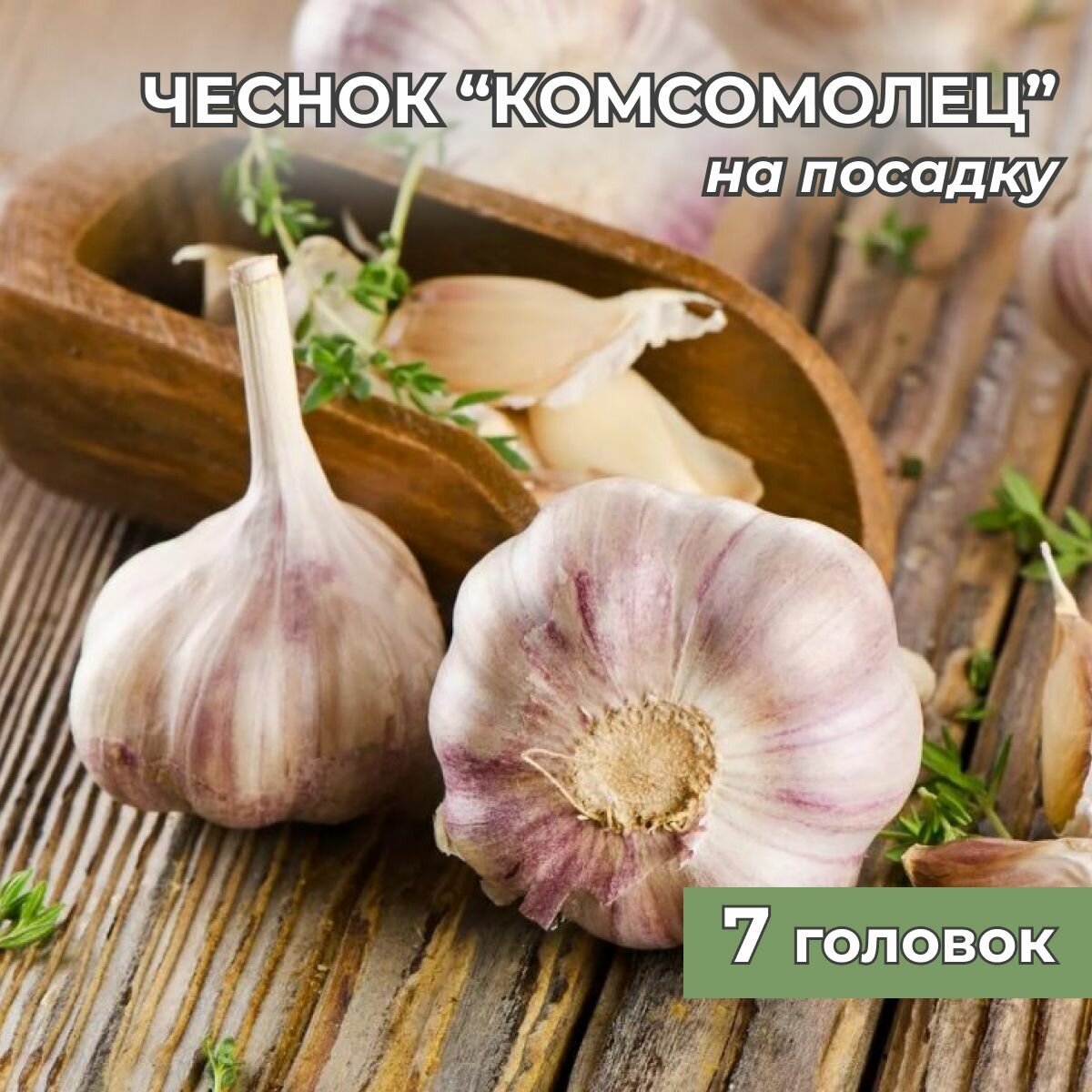 Чеснок на посадку Комсомолец на посадку 7 головок