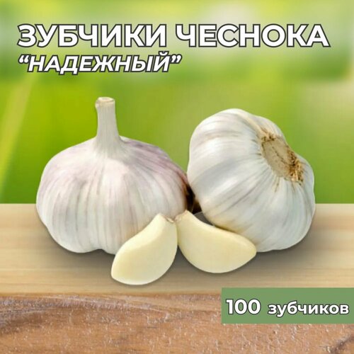 Зубчики чеснока на посадку Надежный 100шт