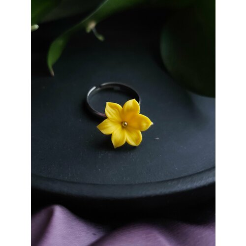 фото Кольцо, желтый нет бренда