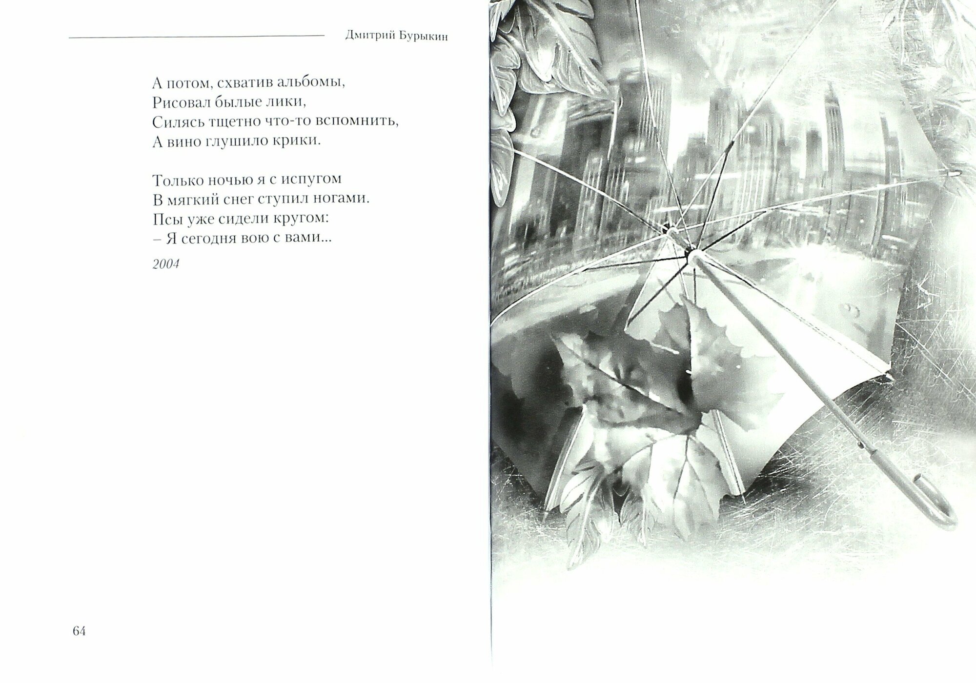 Книга дождей (Бурыкин Дмитрий Викторович) - фото №2