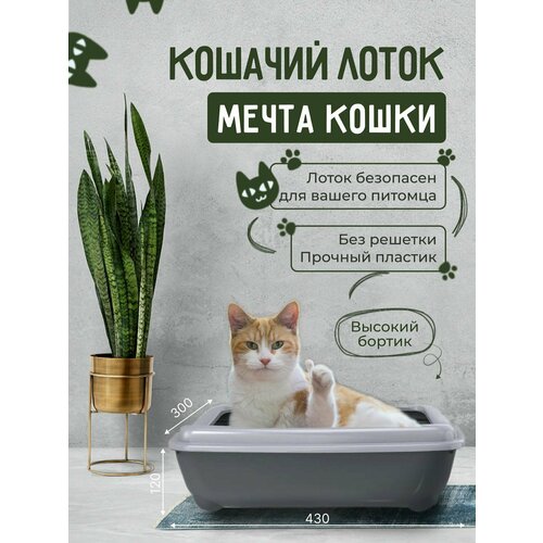 Кошачий лоток "Мечта кошки" Серый