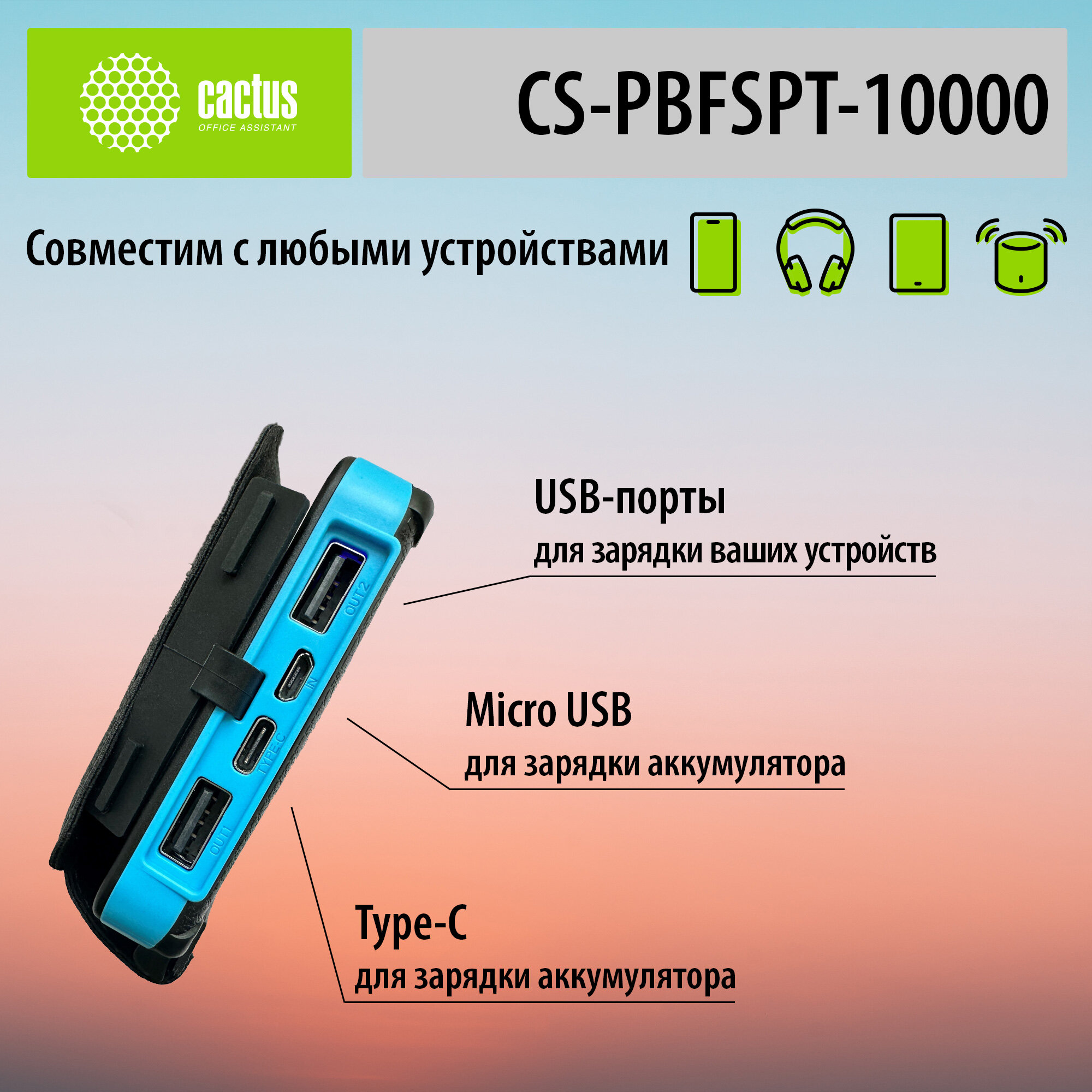 Внешний аккумулятор Cactus CS-PBFSPT-10000 10000mAh, 3A, 2xUSB, солнечная батарей, черный