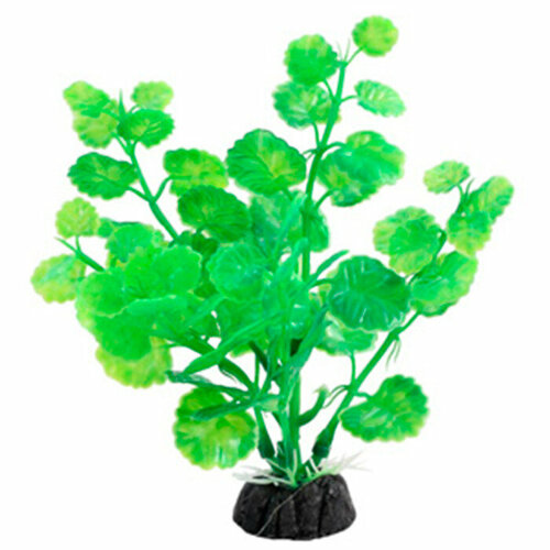 Растение аквариумное Щитолистник 100мм зеленая
