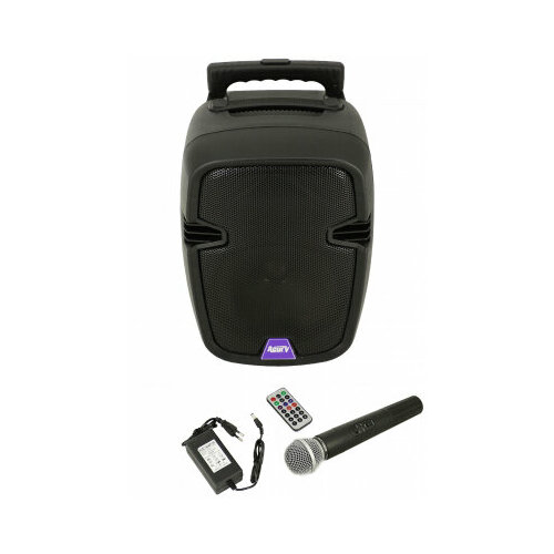 Мобильная акустическая система Acury AS-12T 3104100₽