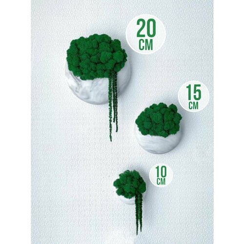 Настенное кашпо и стабилизированный мох 2958₽