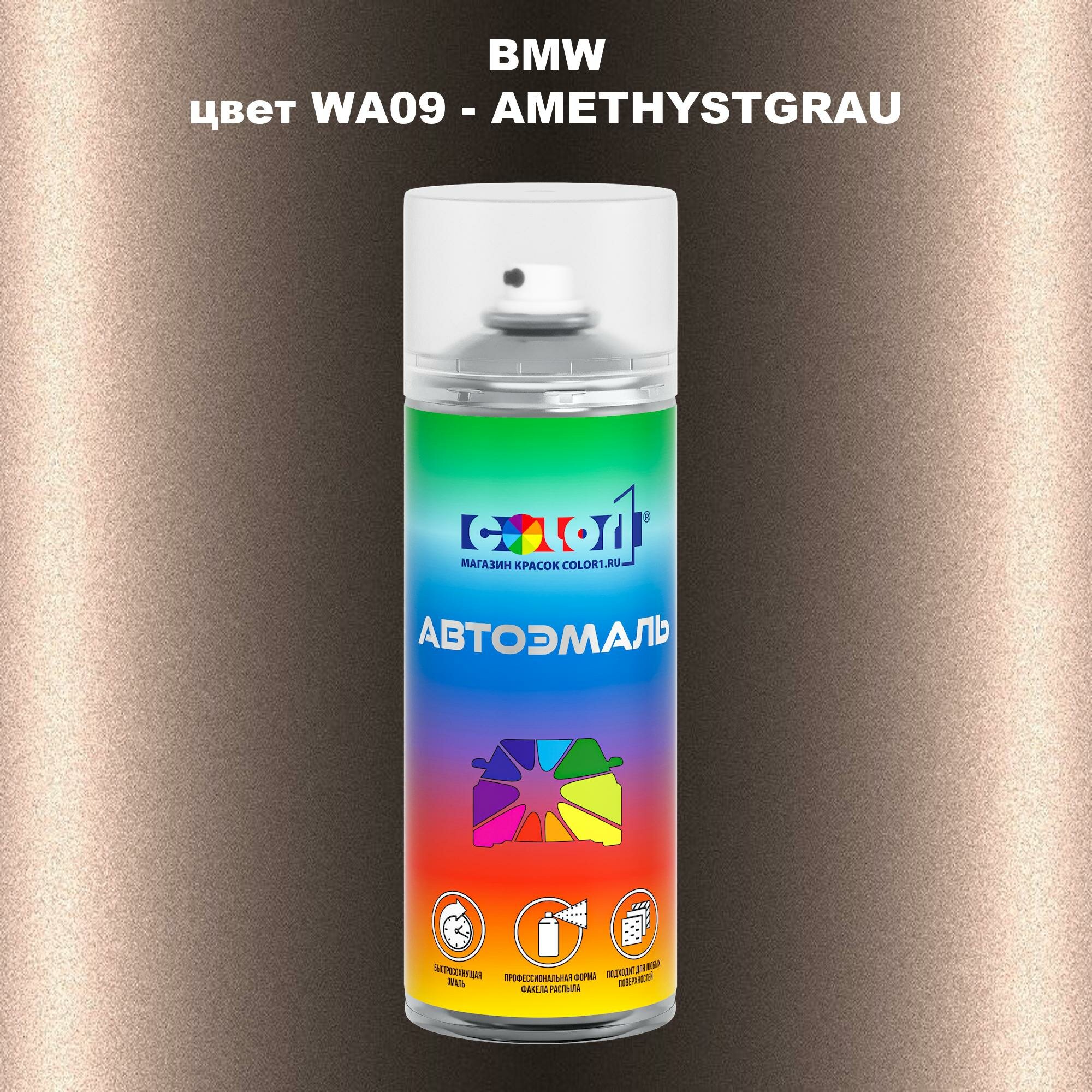 Аэрозольная краска COLOR1 для BMW, цвет WA09 - AMETHYSTGRAU