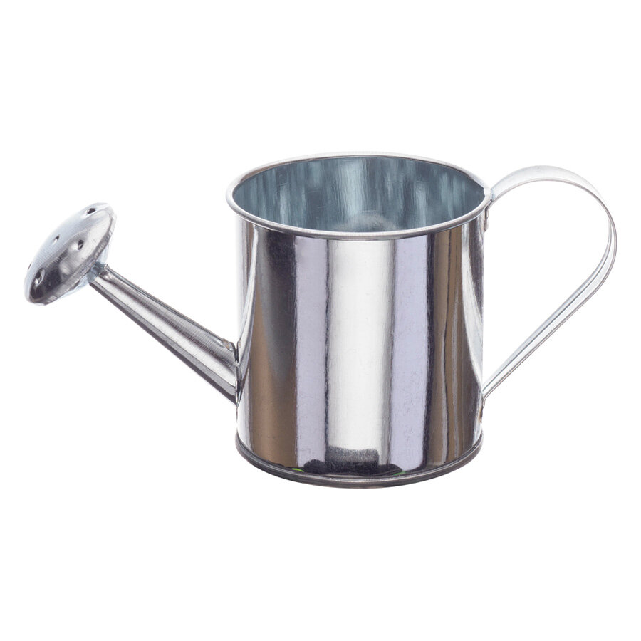 фото Лейка декоративная металлическая оцинкованная / Кашпо декоративное (60 х 65 мм) 2 шт.