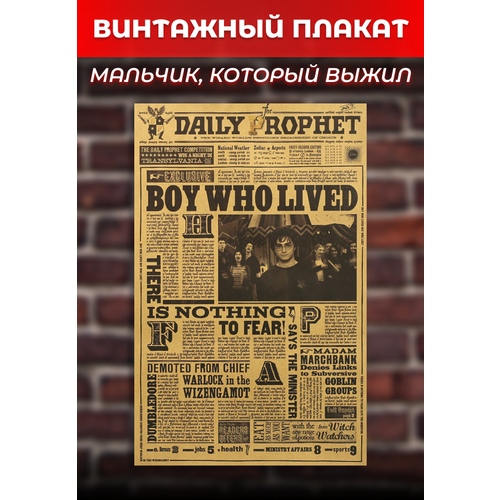 Ретро плакат Гарри Поттер, постер "Мальчик, который выжил"