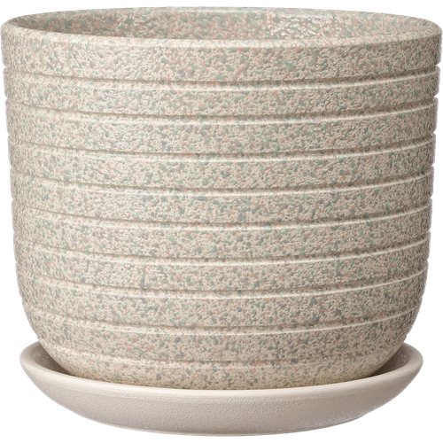 Горшок для цветов с поддоном Пряности 1,6л d=15см, белый бук №2, Арт. КС-Бук2-284-03