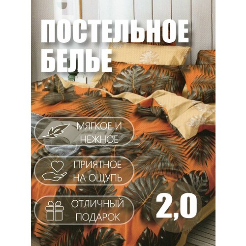 Комплект постельного белья, BigTex, Поплин, 2х спальный, наволочки 70x70