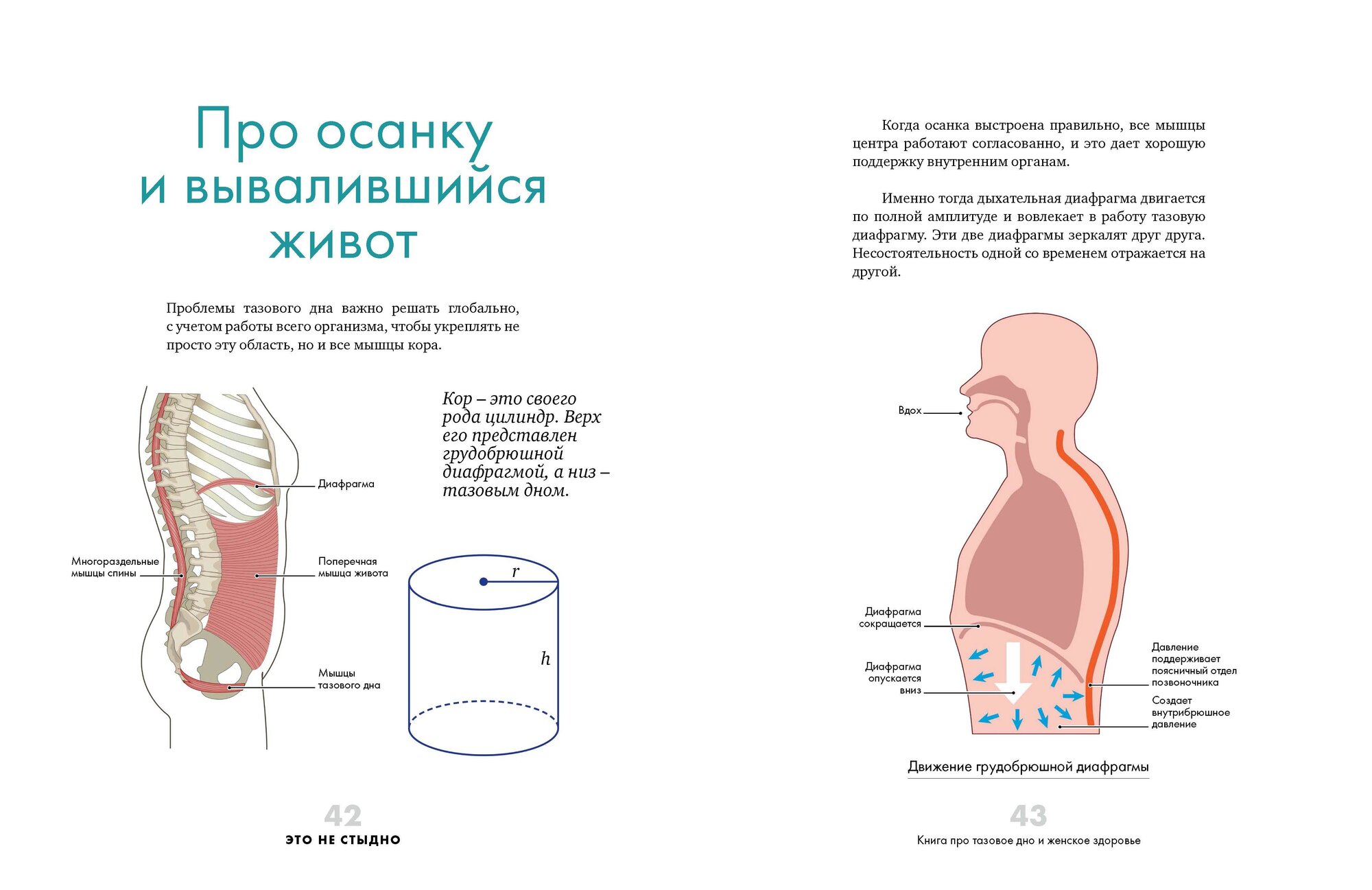 Это не стыдно. Книга про тазовое дно и женское здоровье - фото №12