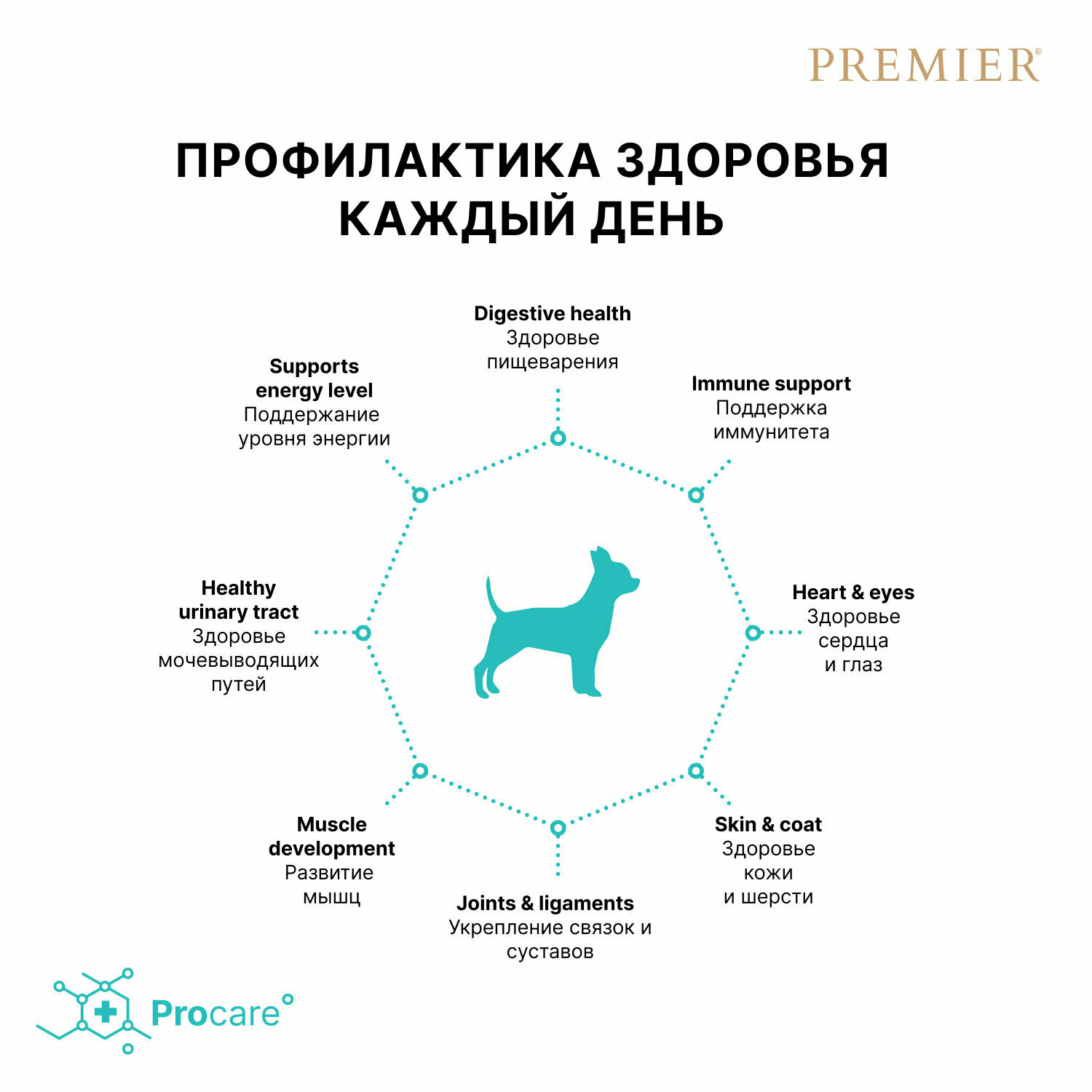 PREMIER Dog Mini Adult Lamb&Turkey Корм сух.ягненок,индейка д/собак мелких пород 1кг - фото №15