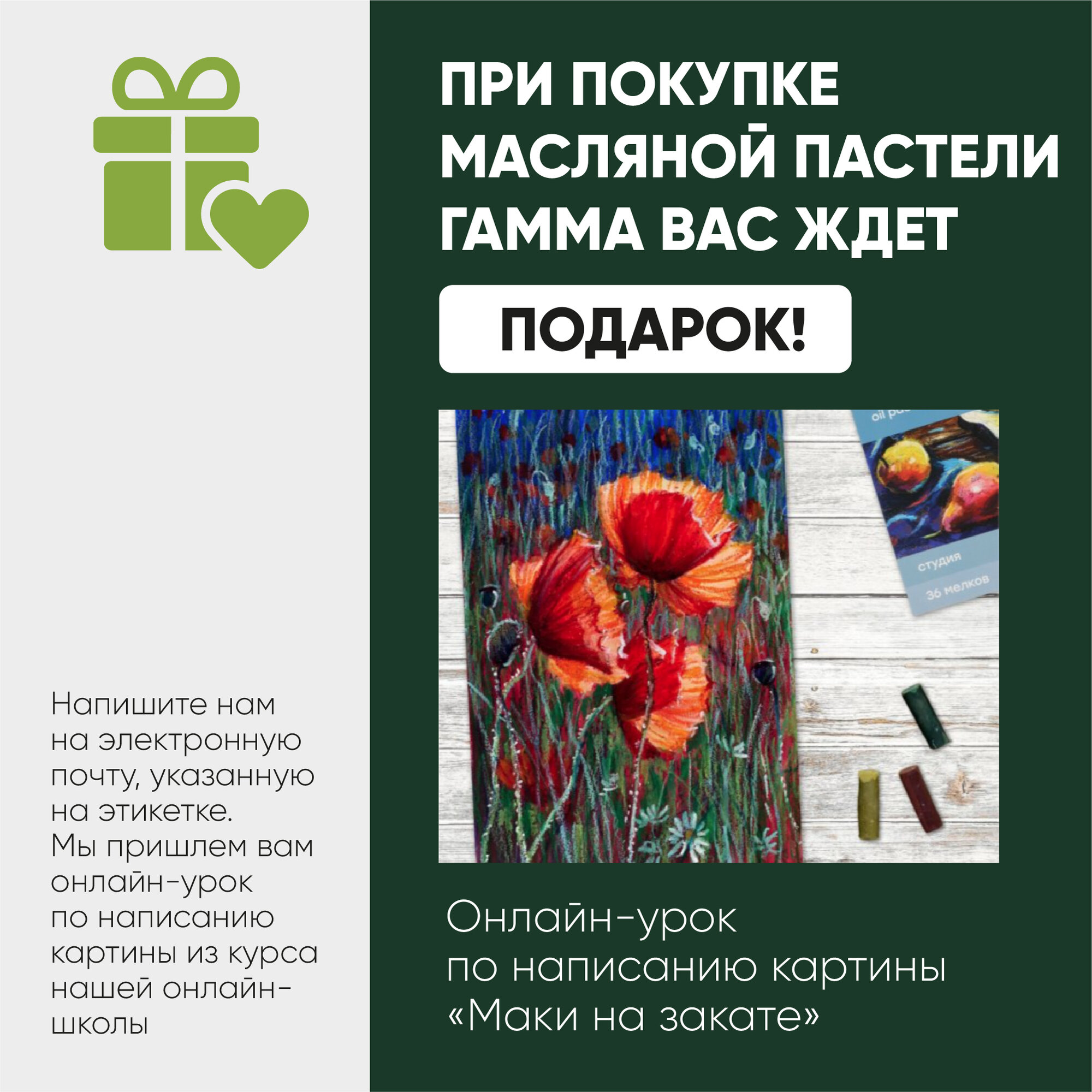 Пастель масляная Гамма "Студия", 25 цветов