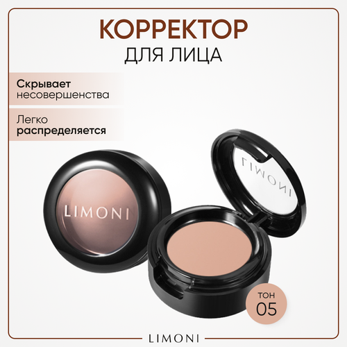 Limoni Корректор для лица Skin Perfect corrector в футляре, оттенок 05 корректор для лица limoni skin perfect 1 5 мл