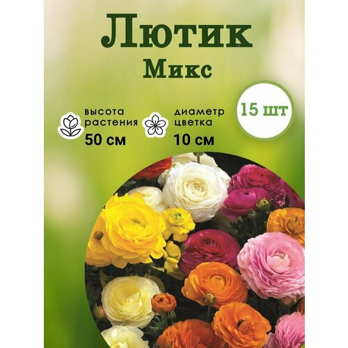 Лютик микс 15 шт. Крупные клубни