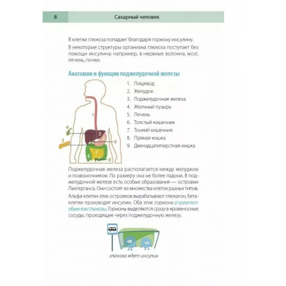 Сахарный человек. Все, что вы хотели знать о сахарном диабете 1-го типа - фото №19