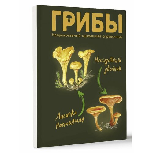 Грибы. Непромокаемый карманный справочник грибы шампиньоново белые шампиньоны 250 г
