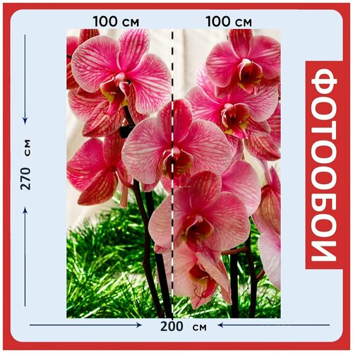 Фотообои Орхидея цветок розовый 200x270 см флизелиновыена стену 2960₽