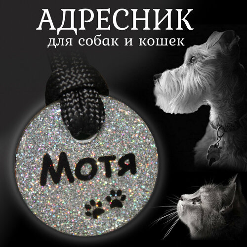Адресник "Непотеряшка" 2,5 см. серебристый для собак и кошек с регулируемым шнурком
