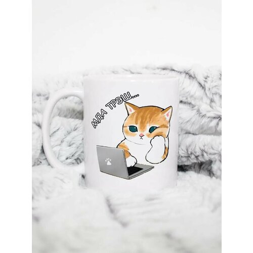 Кружка с котиком Треш 490₽