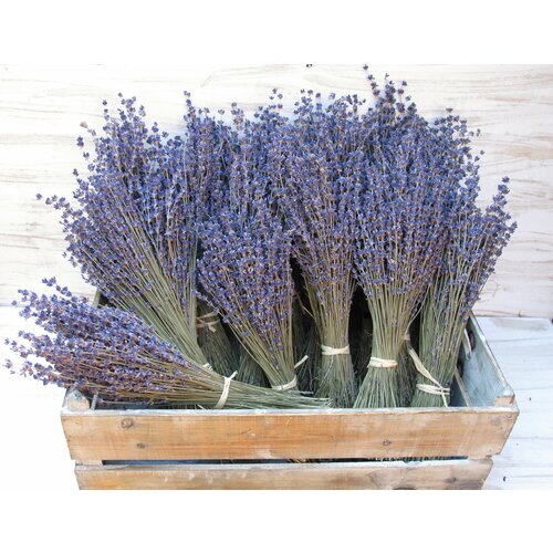 Банный веник 